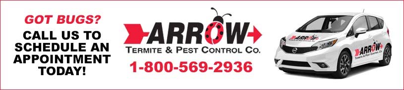 Call Arrow Pest Control to Schedule an Appointment